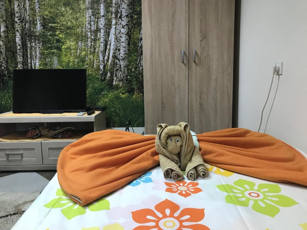 Апартаменты Lana Apartment Podgorica Подгорица-43