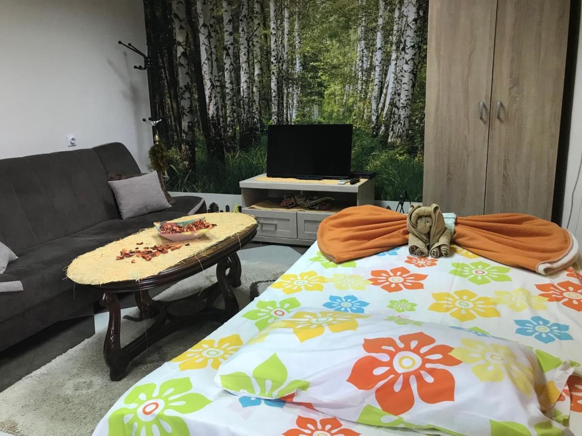 Апартаменты Lana Apartment Podgorica Подгорица-45