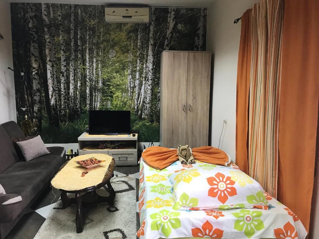 Апартаменты Lana Apartment Podgorica Подгорица-67