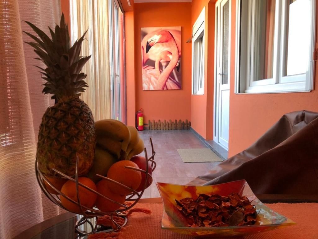 Апартаменты Lana Apartment Podgorica Подгорица-76