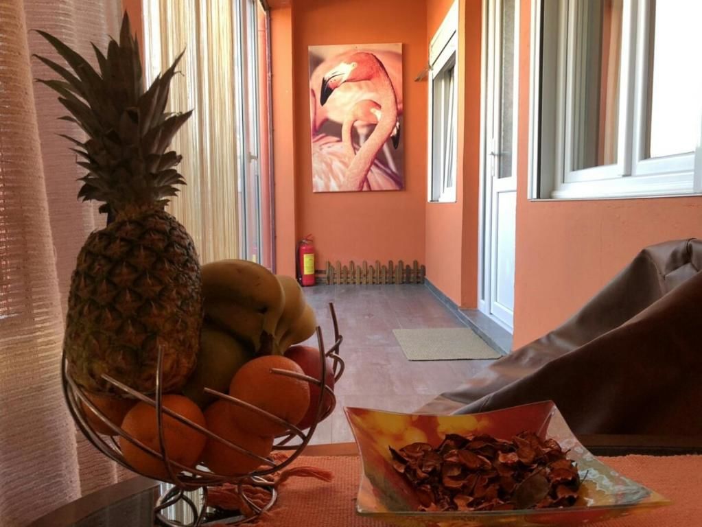 Апартаменты Lana Apartment Podgorica Подгорица-77