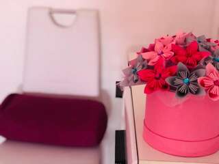 Апартаменты Lana Apartment Podgorica Подгорица Апартаменты-5