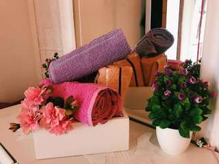 Апартаменты Lana Apartment Podgorica Подгорица Апартаменты-13