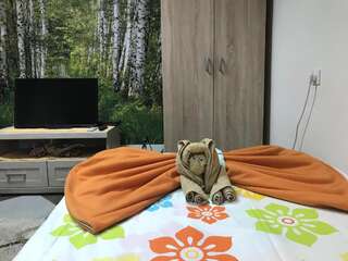 Апартаменты Lana Apartment Podgorica Подгорица Апартаменты - 1-й этаж-20