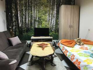 Апартаменты Lana Apartment Podgorica Подгорица Апартаменты - 1-й этаж-21