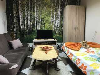 Апартаменты Lana Apartment Podgorica Подгорица Апартаменты - 1-й этаж-39