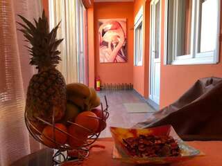 Апартаменты Lana Apartment Podgorica Подгорица Апартаменты - 1-й этаж-50