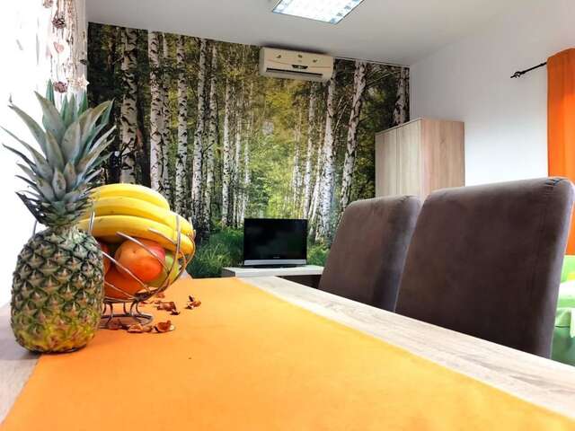 Апартаменты Lana Apartment Podgorica Подгорица-16