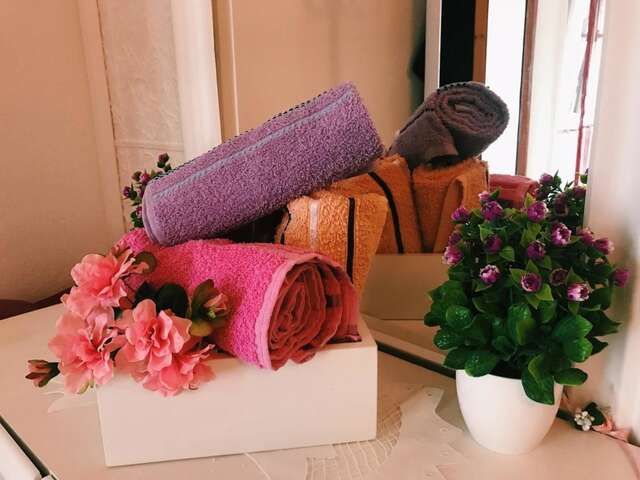 Апартаменты Lana Apartment Podgorica Подгорица-34