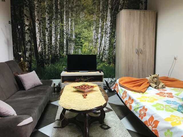 Апартаменты Lana Apartment Podgorica Подгорица-64