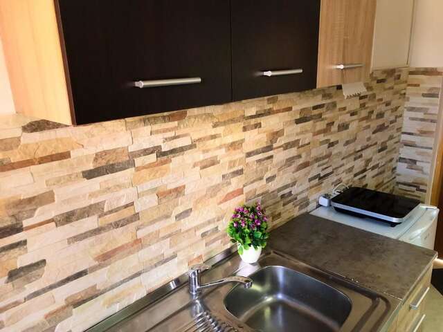 Апартаменты Lana Apartment Podgorica Подгорица-69